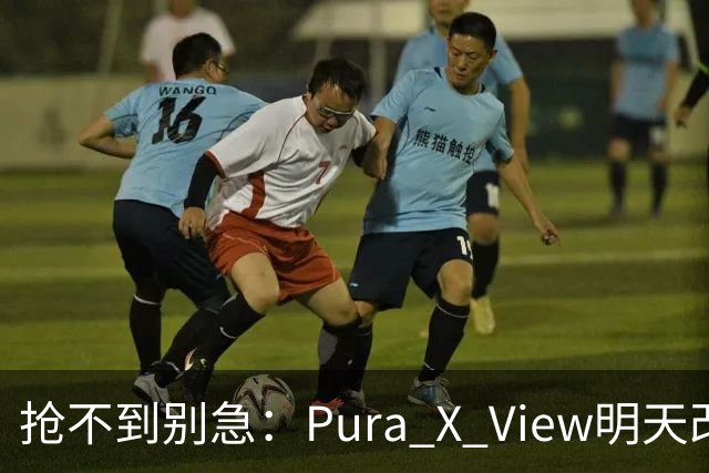 抢不到别急：Pura X View明天改“排队”，不用再卡点